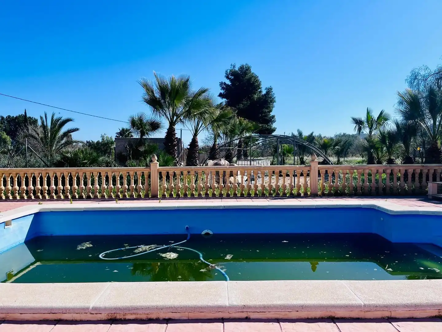 Swimming pool of Houses for sale in Aspe  with Terrace, Swimming Pool and Furnished