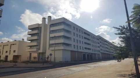 Foto 3 de Oficina en venta en Pintor el Bosco, El Palmar, Murcia Capital