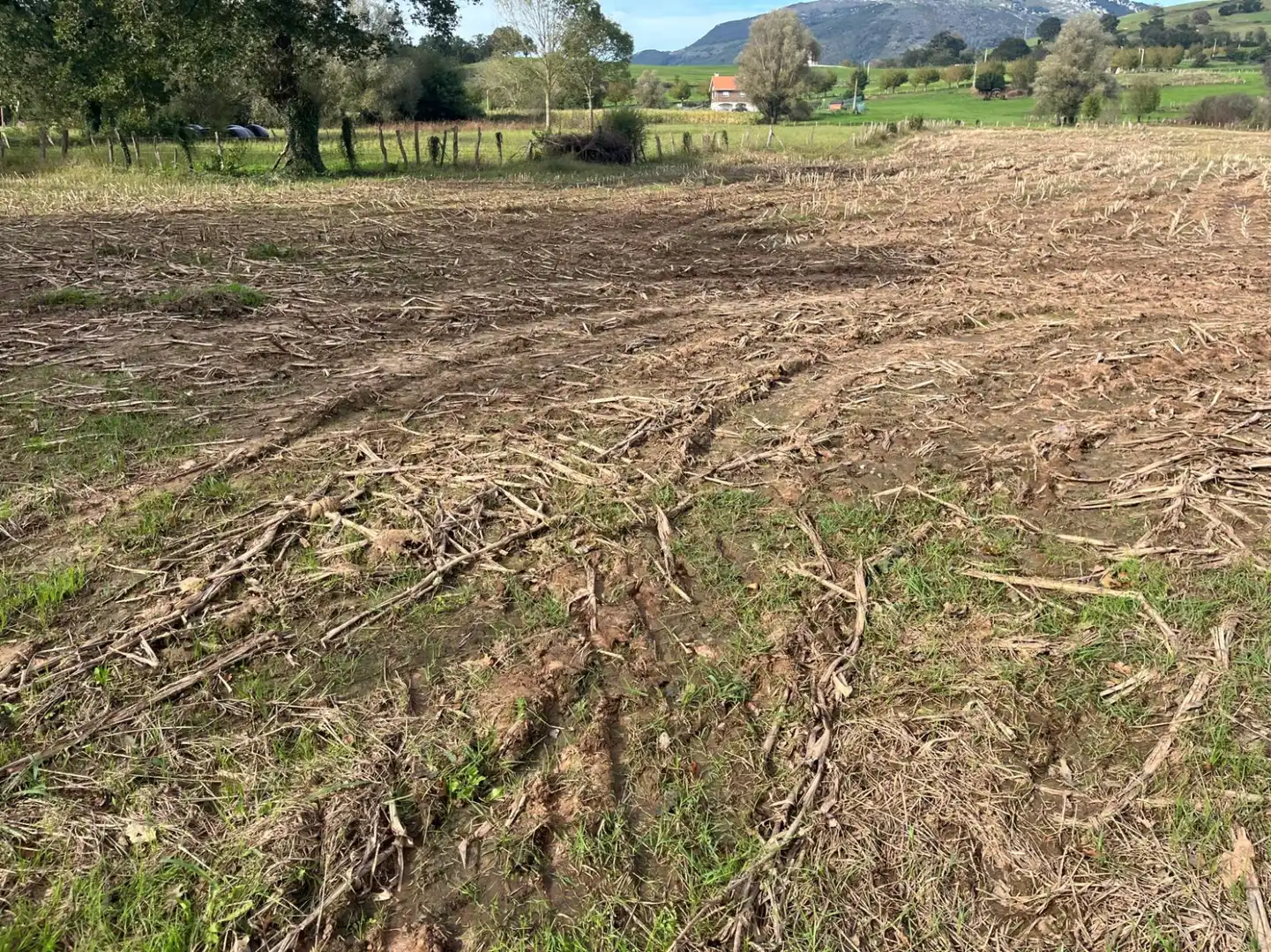 Terreno en venta en Hermosa - CAMPO REDONDO HERMOSA, Ceceñas - Hermosa