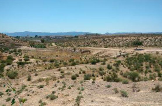Residencial en venda a LAS ZORRERAS, PARTIDO DE JAVALI NUEVO, -1, Javalí Nuevo