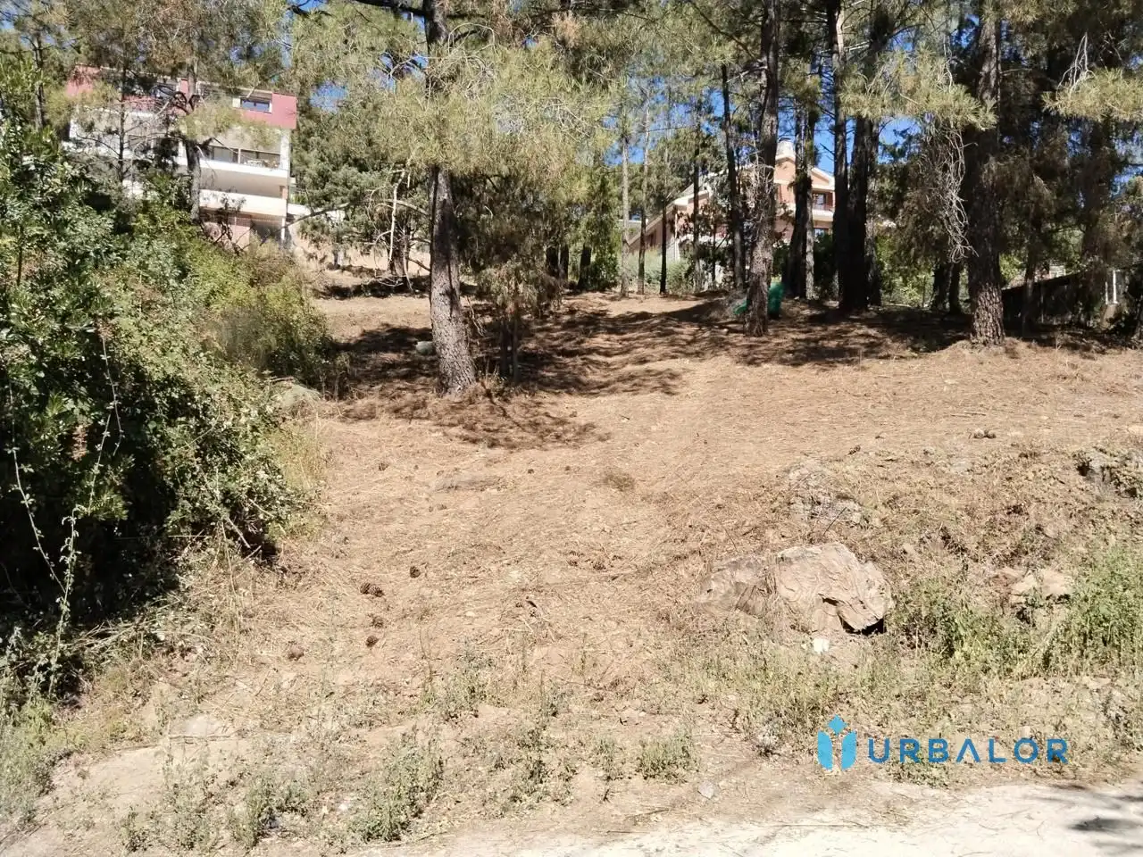 Terreni e lotti in vendita a Nervión, imagen 18