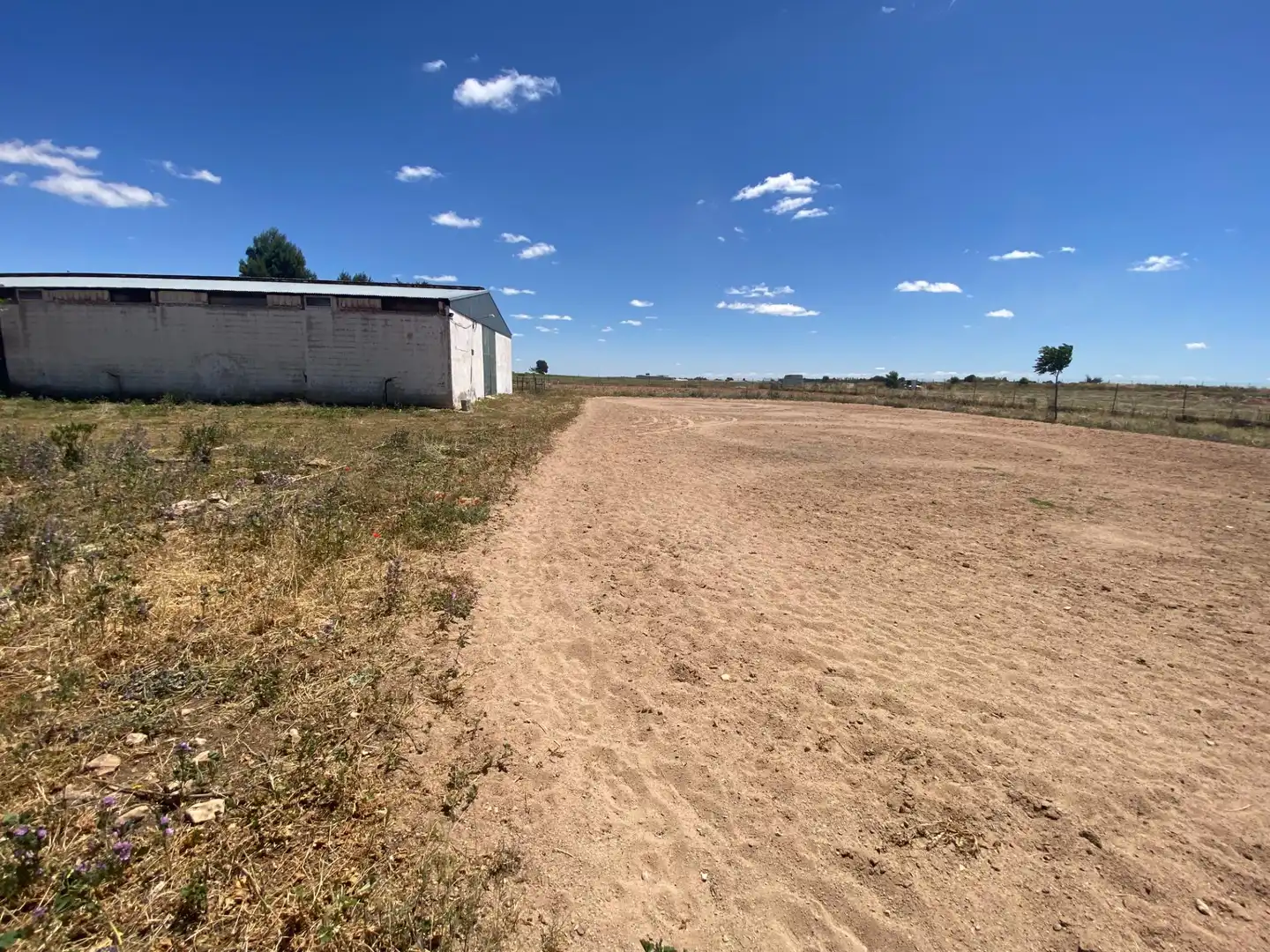 Terreny residencial en venda a Camino Camino de Torralba de Calatrava, imagen 37