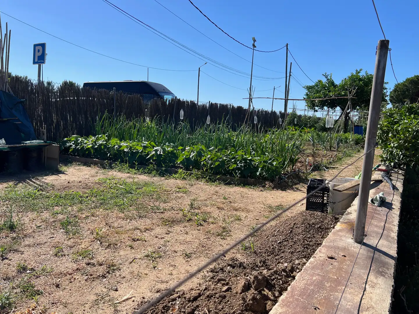 Jardí de Casa o xalet en venda en Mataró amb Aire condicionat, Jardí privat i Terrassa