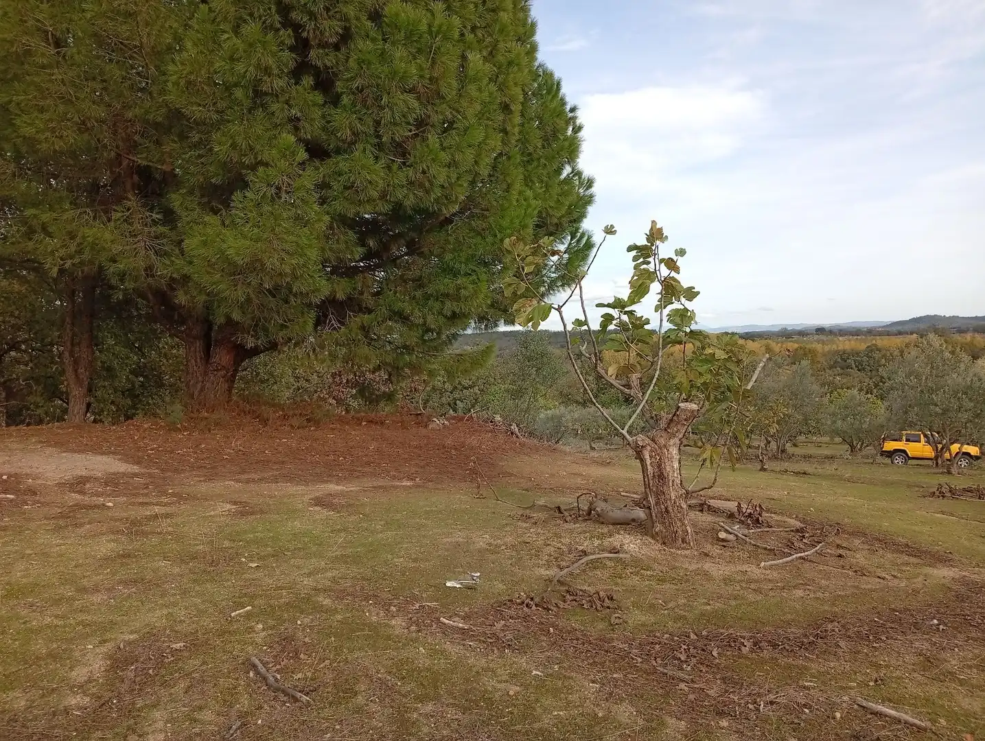 Terreni e lotti in vendita a Villanueva de la Vera, imagen 41