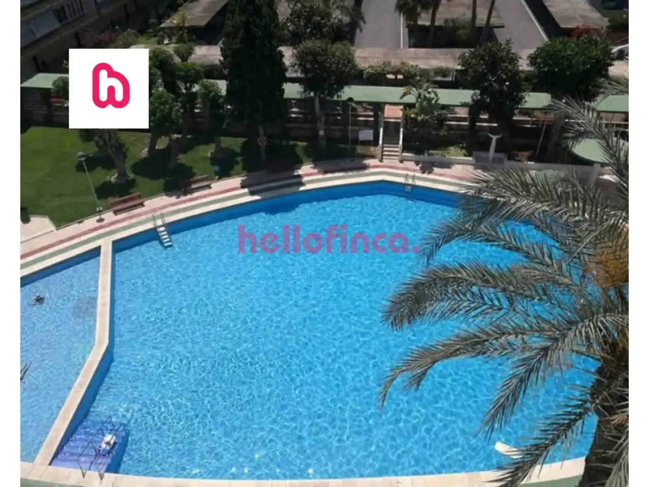 Piscina de Piso en venta en Alicante / Alacant con Calefacción, Parquet y Terraza