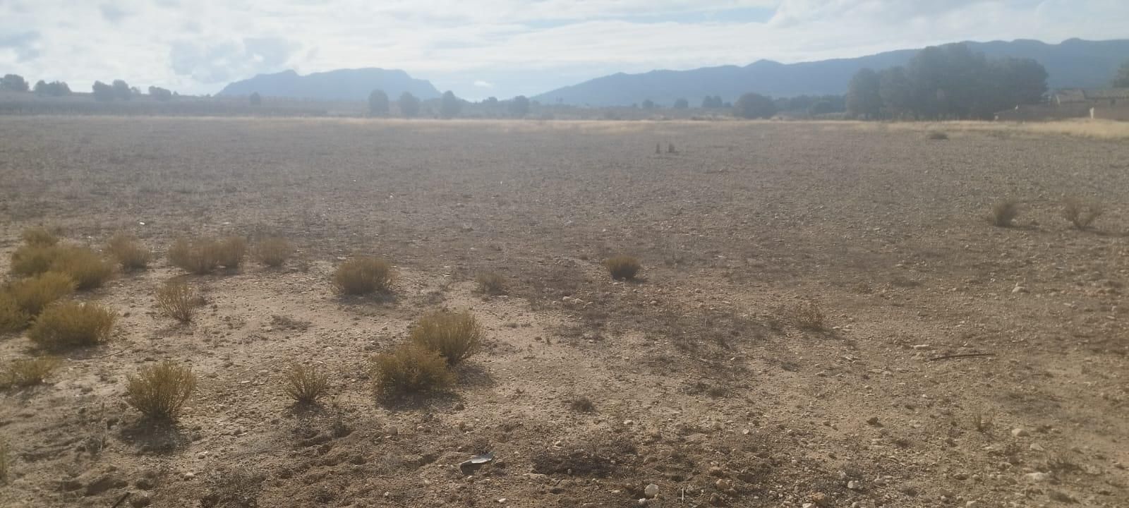 Finca rústica en venta en Salinas con Parquet