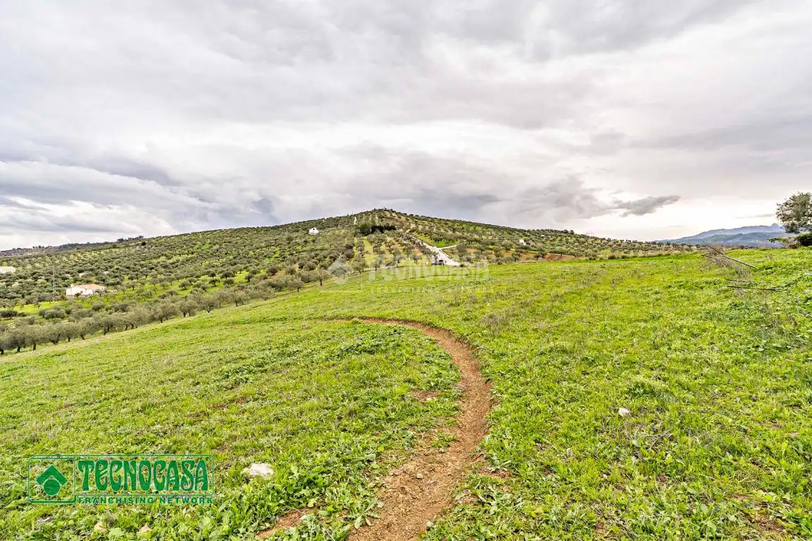Rural land for sale in Alozaina, imagen 4