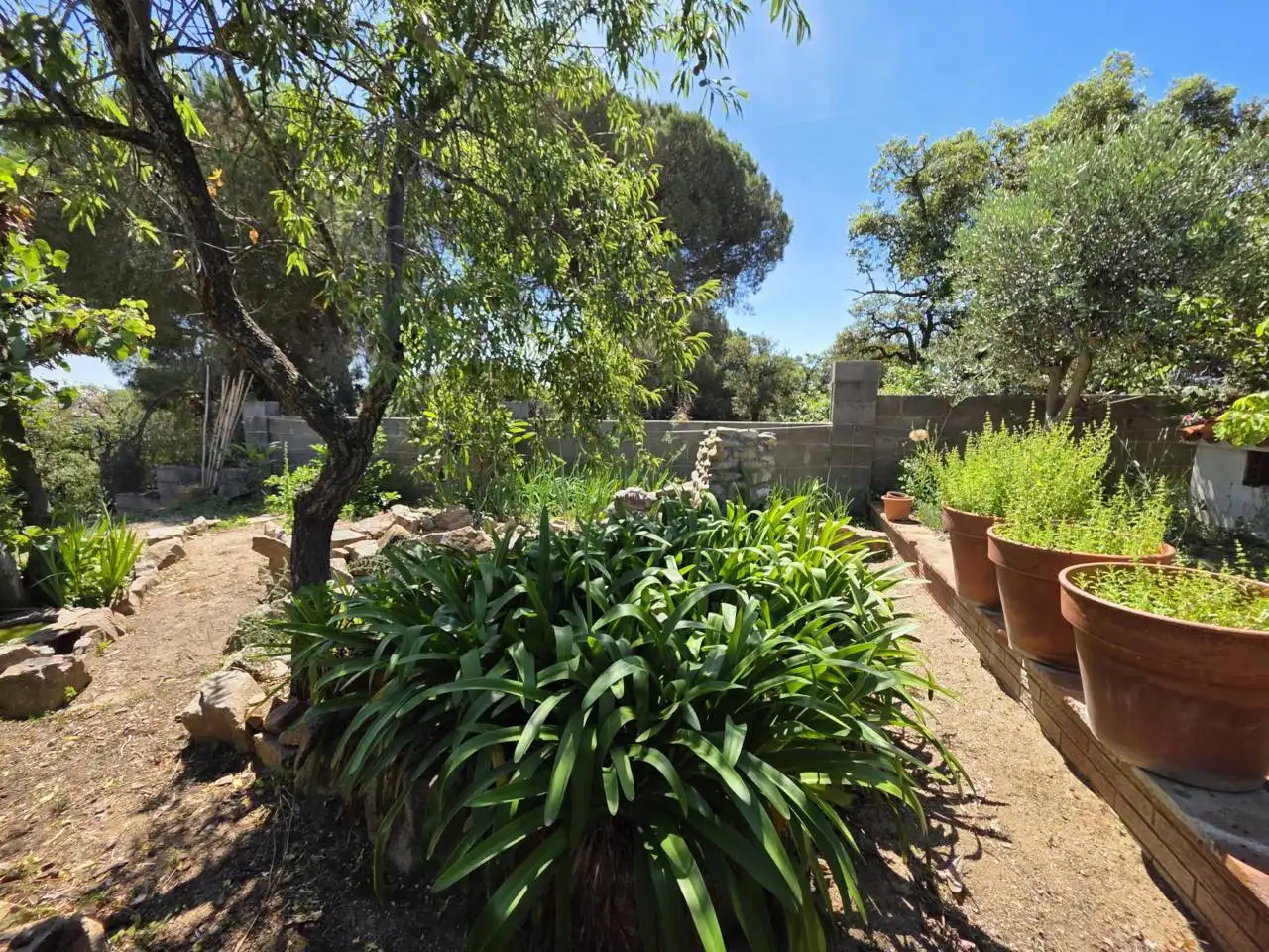 Jardí de Casa o xalet en venda en Malgrat de Mar amb Aire condicionat, Calefacció i Jardí privat