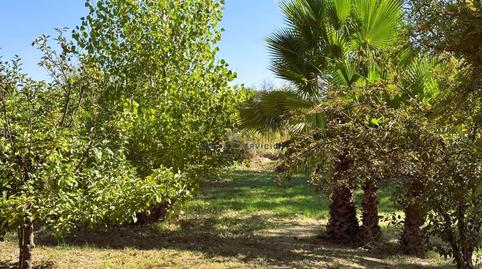 Foto 5 de Finca rústica en venda a Villalba del Alcor, Huelva
