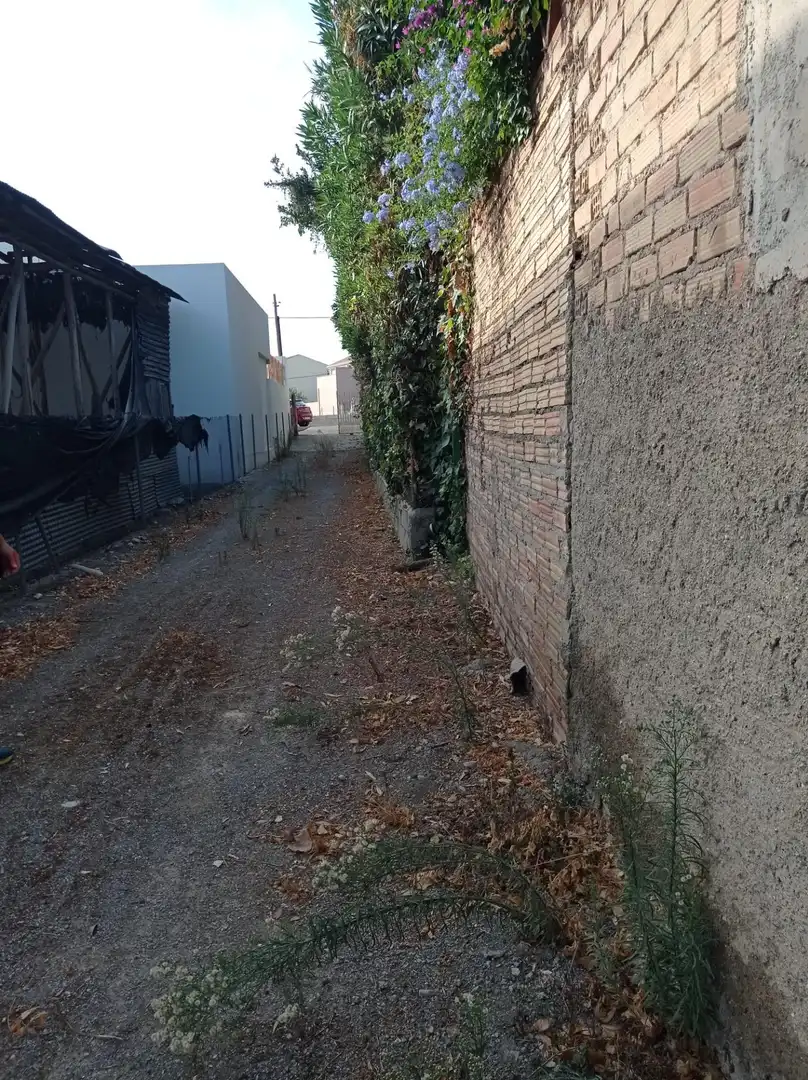 Lands and plots for sale in Purchil, imagen 10