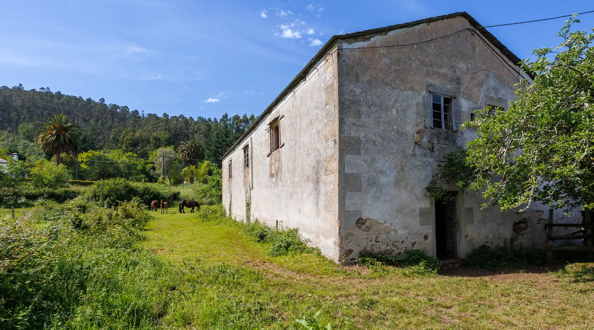 Vista exterior de Finca rústica en venda en Ourol