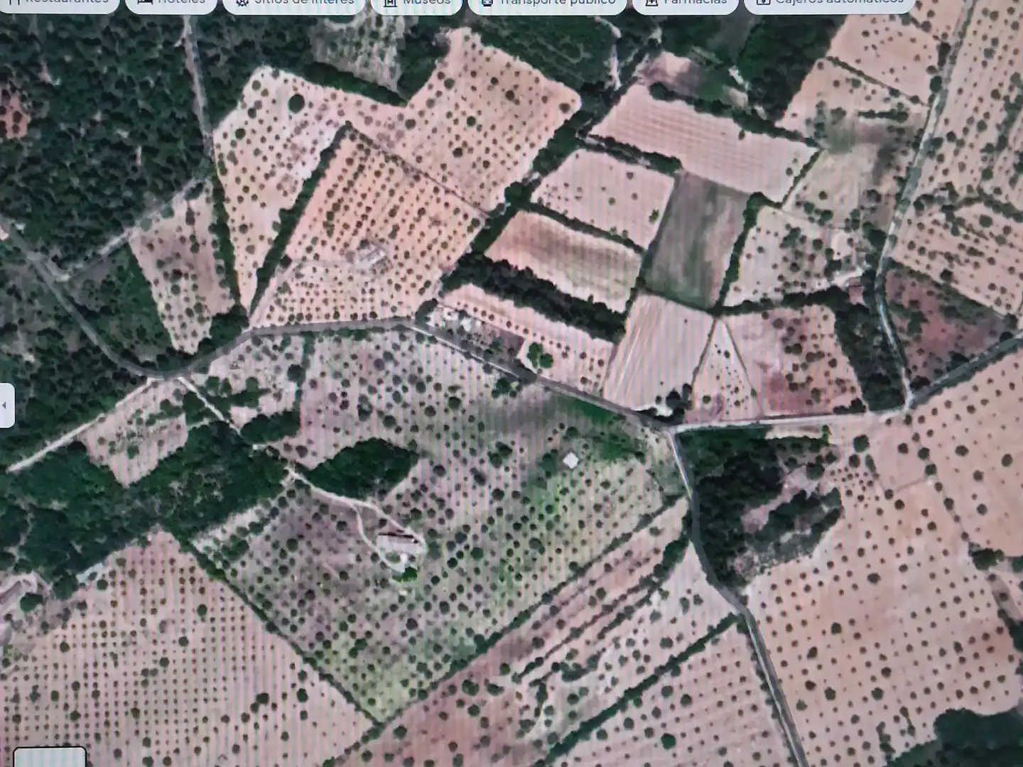 Rural land for sale in Sa Plaça