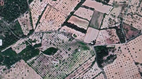 TERRENO RUSTICO AGRARIO PLANO SIN VALLAR