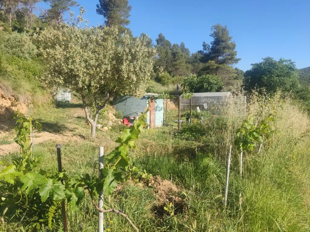 Rural land for sale in Horta de Sant Joan, imagen 4