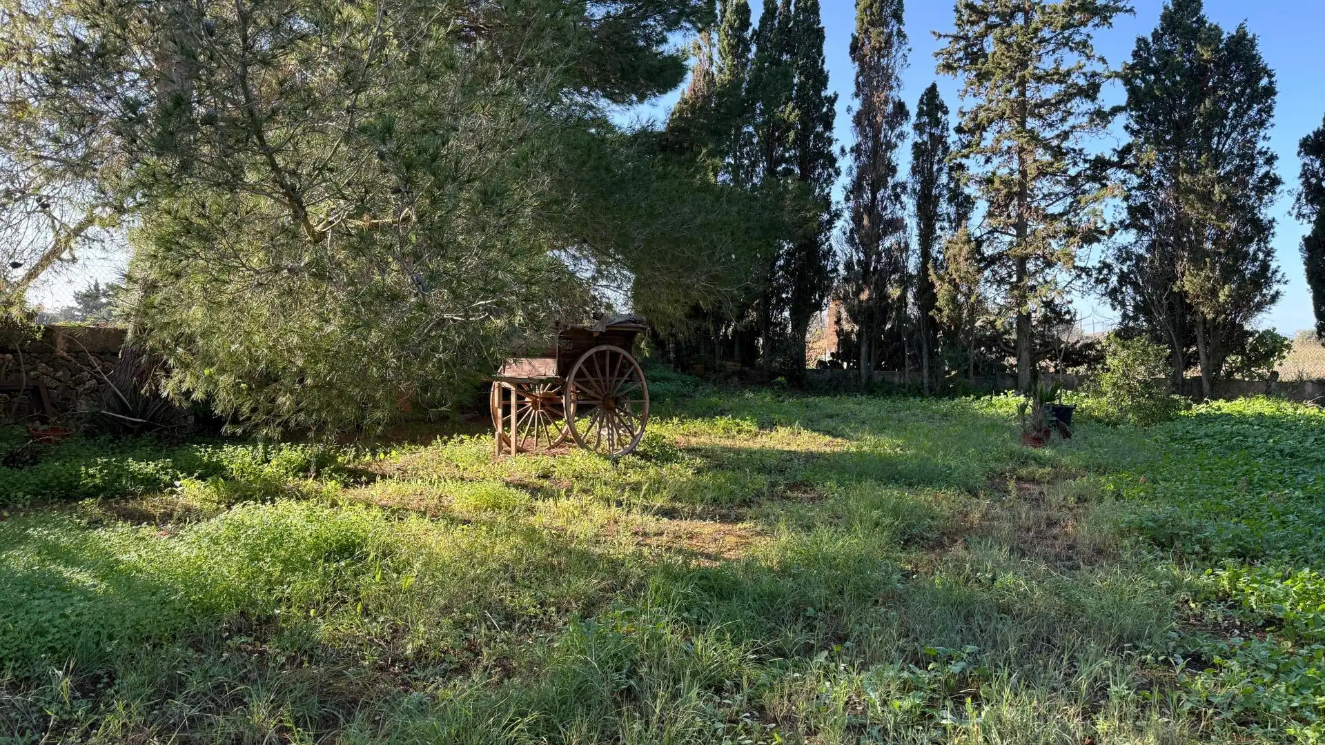 Finca rústica en venta en Camino del palmer, 528, Zona Rústica - Interior