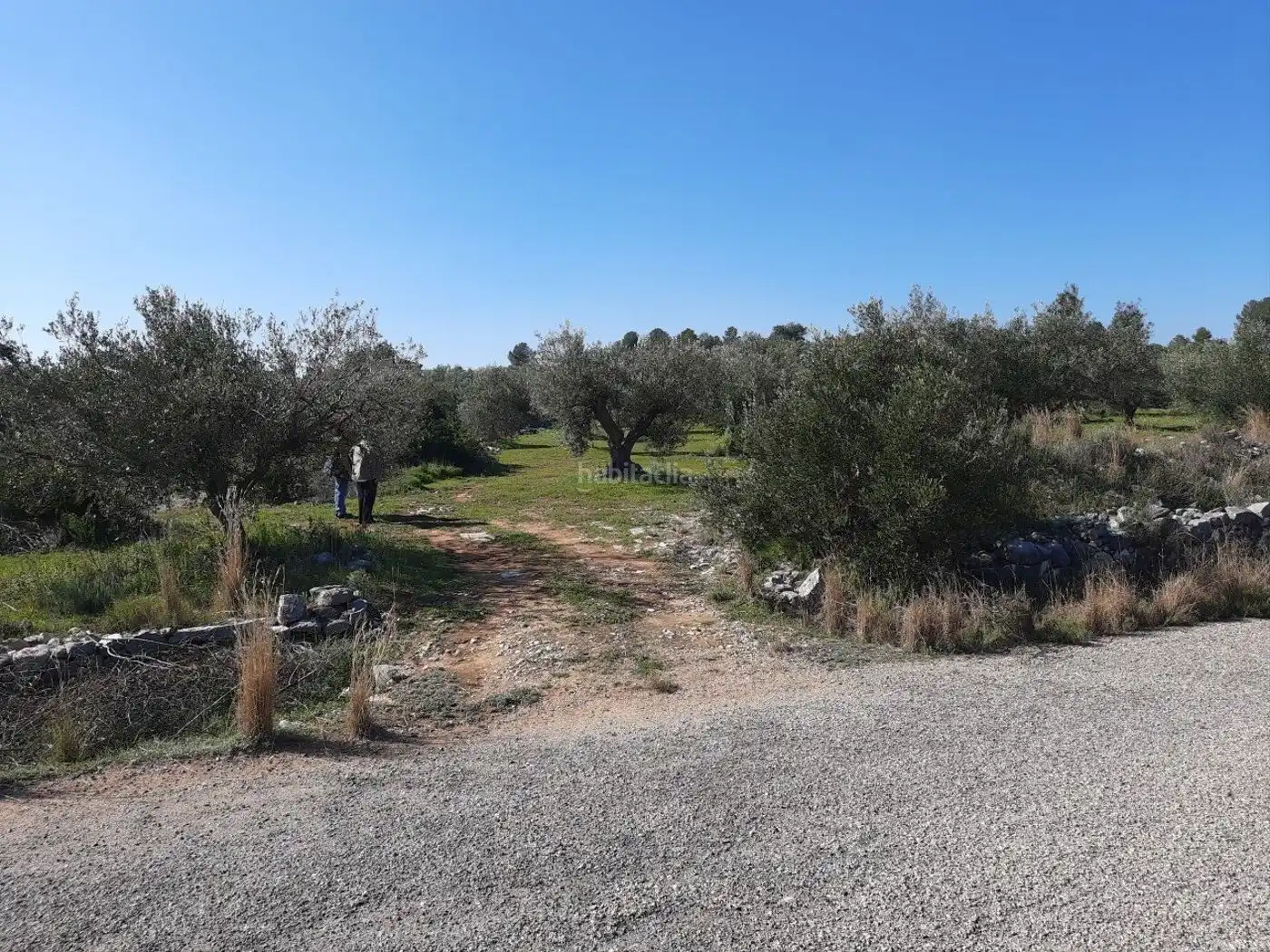 Rustikales Grundstück zum Verkauf in Diseminado Poligono 10 12B, imagen 11