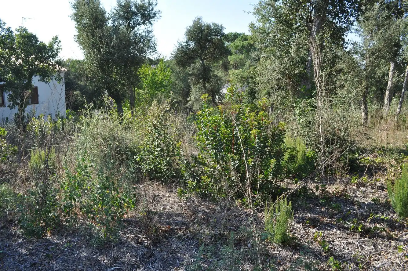 Residential for sale in Caldes de Malavella