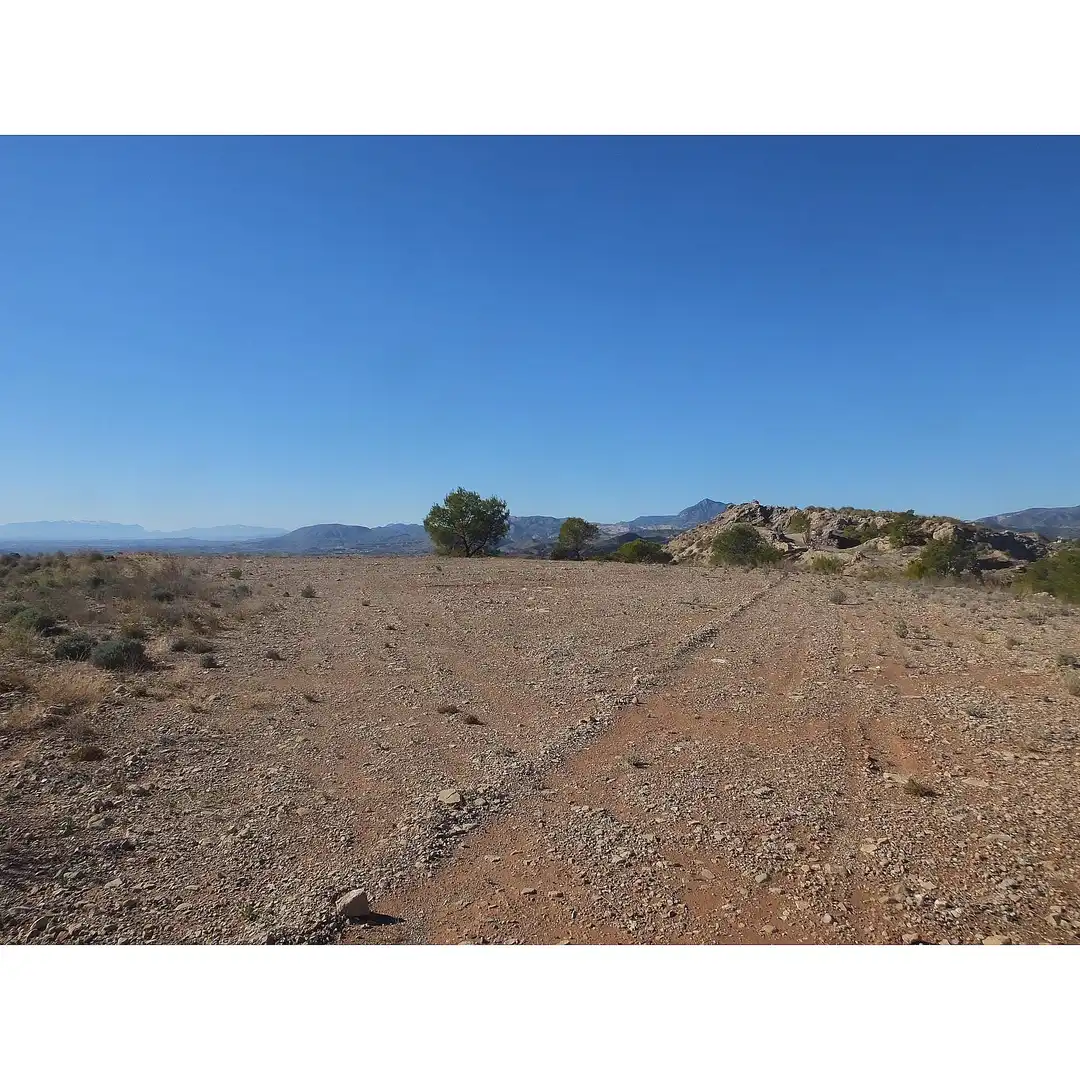 Lands and plots for sale in Abanilla, imagen 5