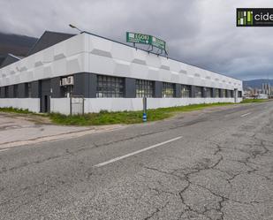 Exterior view of Industrial buildings for sale in Olazti / Olazagutía