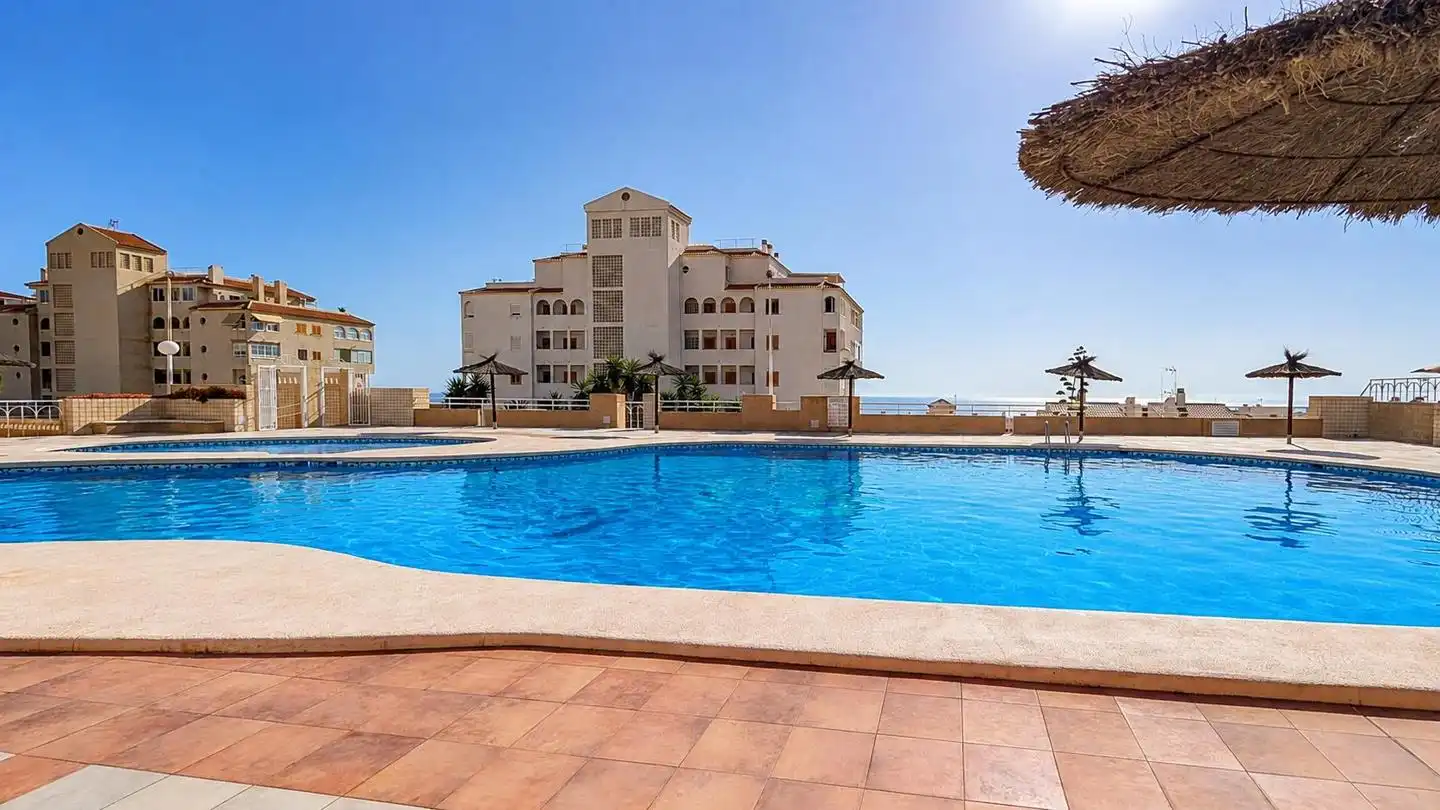 Swimming pool of Detached homes for sale in Elche / Elx  with Terrace, Storage room and Swimming Pool