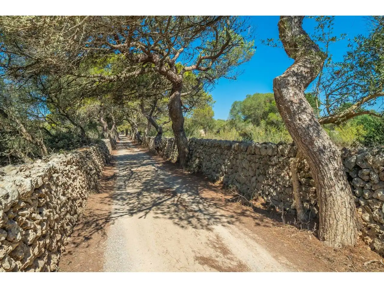 Terreno rustico in vendita a Sant Climent - Es Canutells