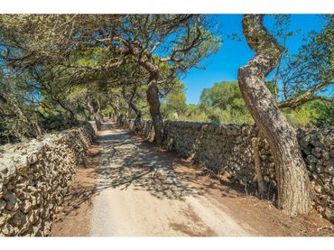 Rustikales Grundstück zum Verkauf in Sant Climent - Es Canutells
