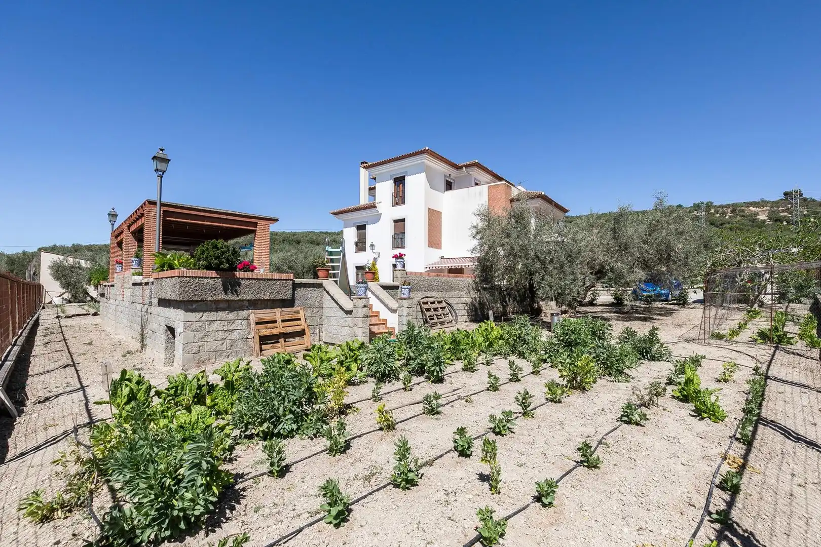 Vista exterior de Finca rústica en venta en Montefrío con Calefacción, Jardín privado y Terraza