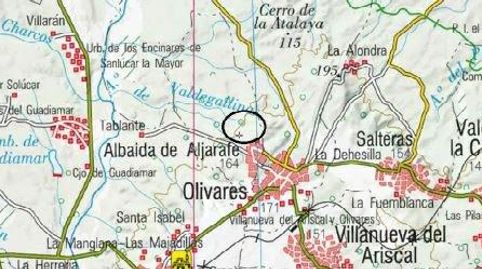 ALBAIDA DEL ALJARAFE (Sevilla). Paraje "El Cortijuelo". Polígono 7, imatge 3