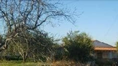 Foto 4 de Terreno en venta en El Llombo, Ontinyent