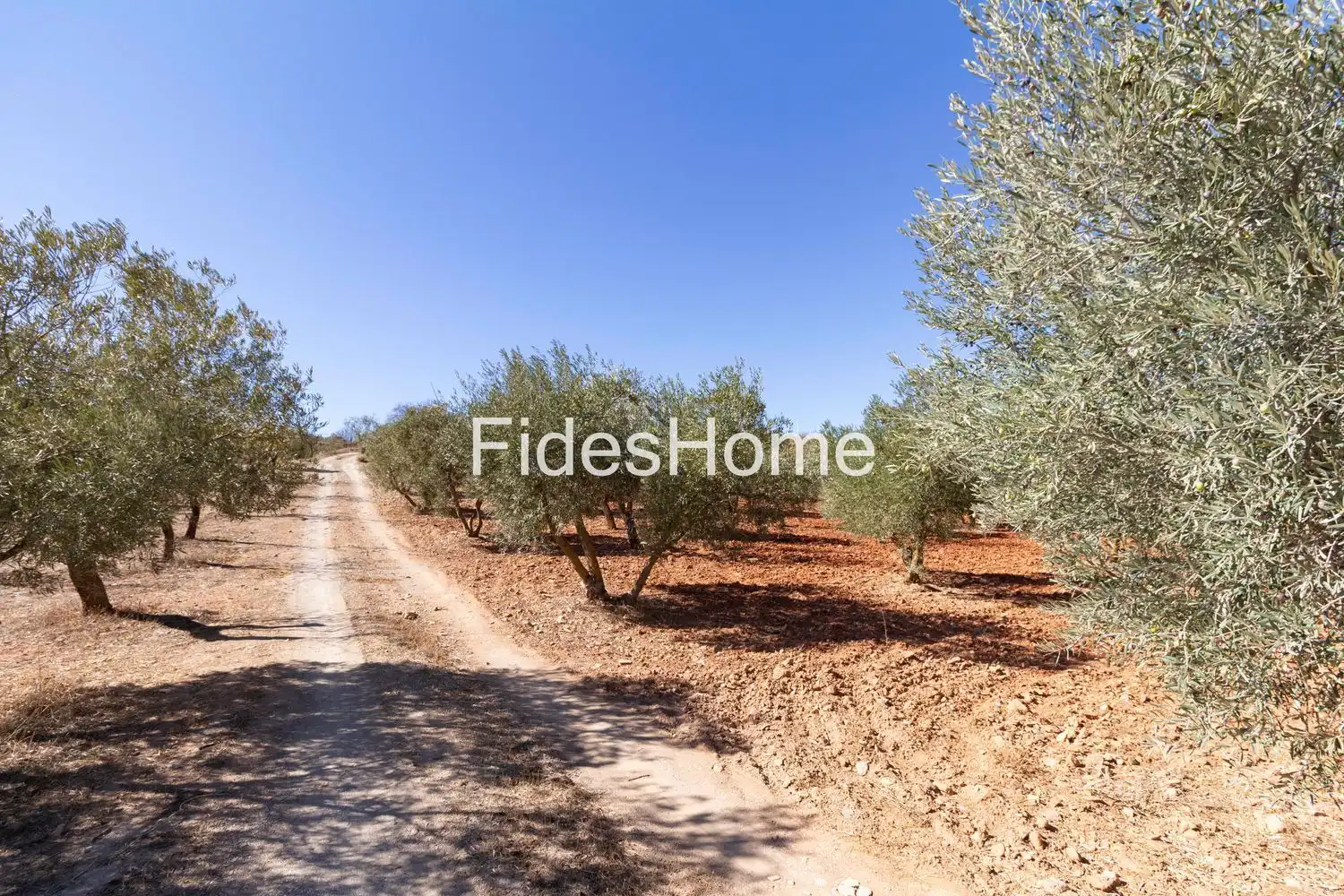 Rural land for sale in XC7V+6WV Acequias 0, imagen 5