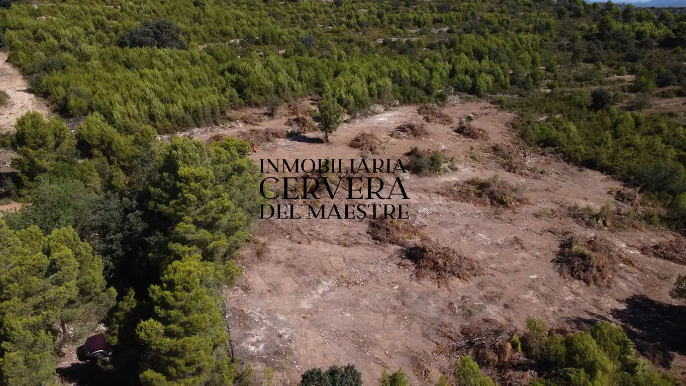Terreno rustico in vendita a Cervera del Maestre, imagen 21