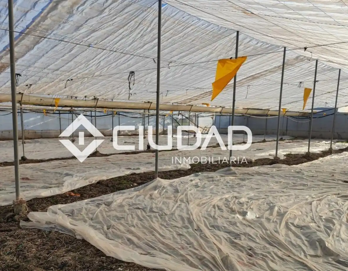 Terreno en venta en Lebrija