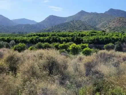 Rustikales Grundstück zum Verkauf in Partida de La Murta, imagen 7