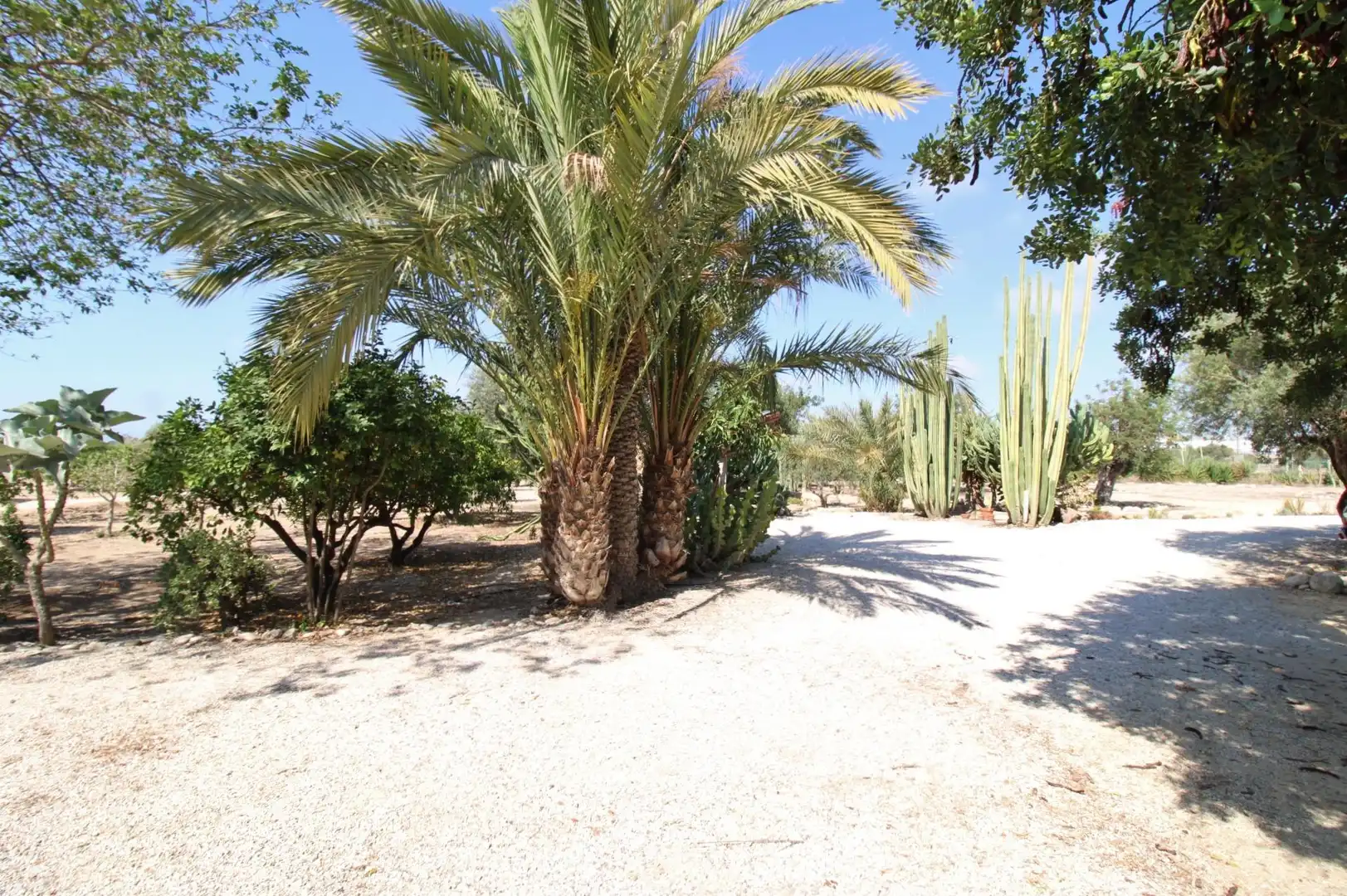 Exterior view of Houses for rent in Sant Joan d'Alacant  with Private garden, Terrace and Swimming Pool