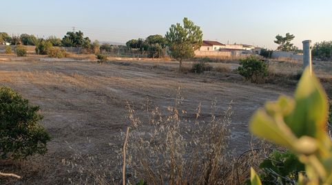 Parcela Rustica en Las Torres de Cotillas, Zona de la Media Legua, immagine 3