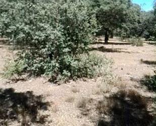 Land for sale in Puebla de Yeltes