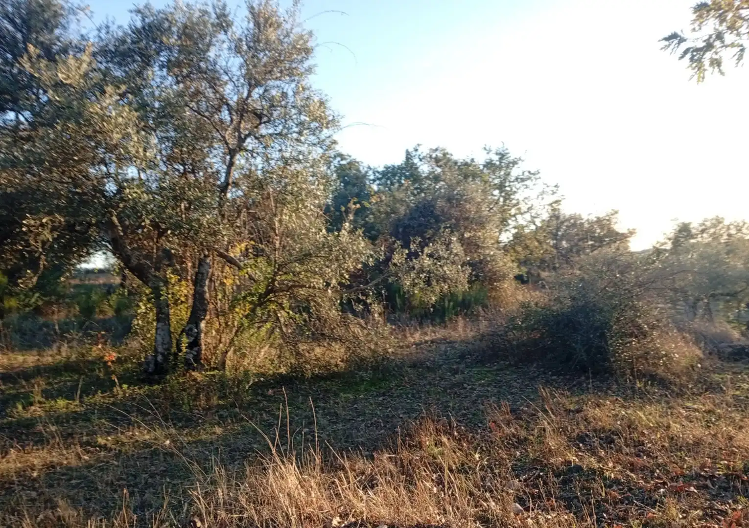 Terreni e lotti in vendita a Viandar de la Vera, imagen 30