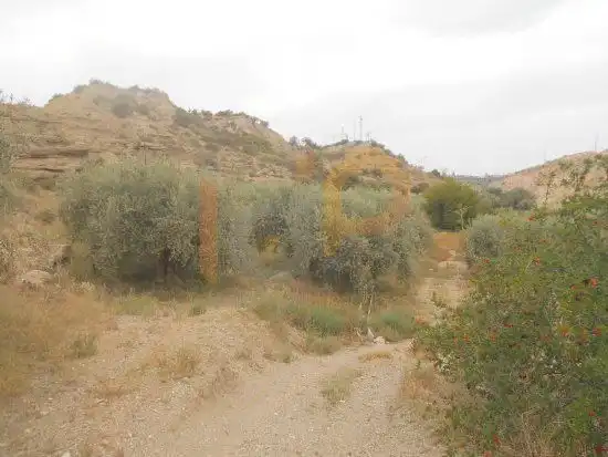 Terrain rustique à vendre à Huércal-Overa, imagen 9