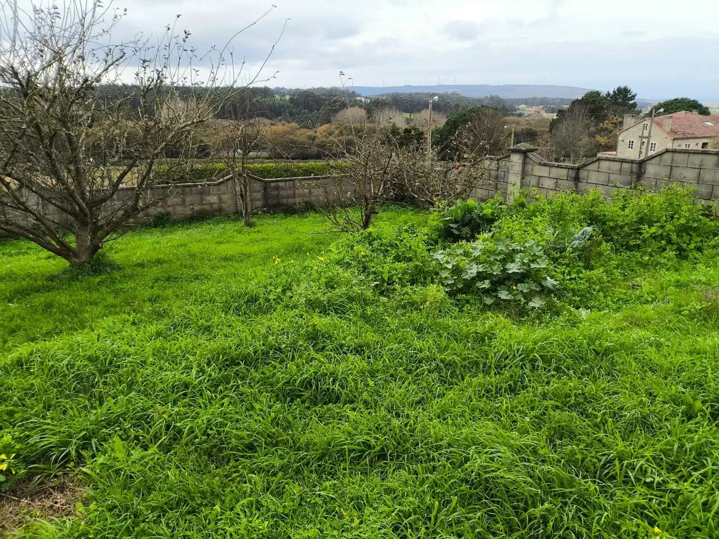 Casa amb jardí en venda a Lugar SEIXAS, imagen 13