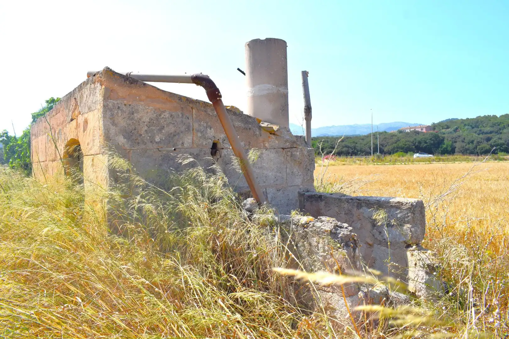 Rural land for sale in Sa Pobla, imagen 5