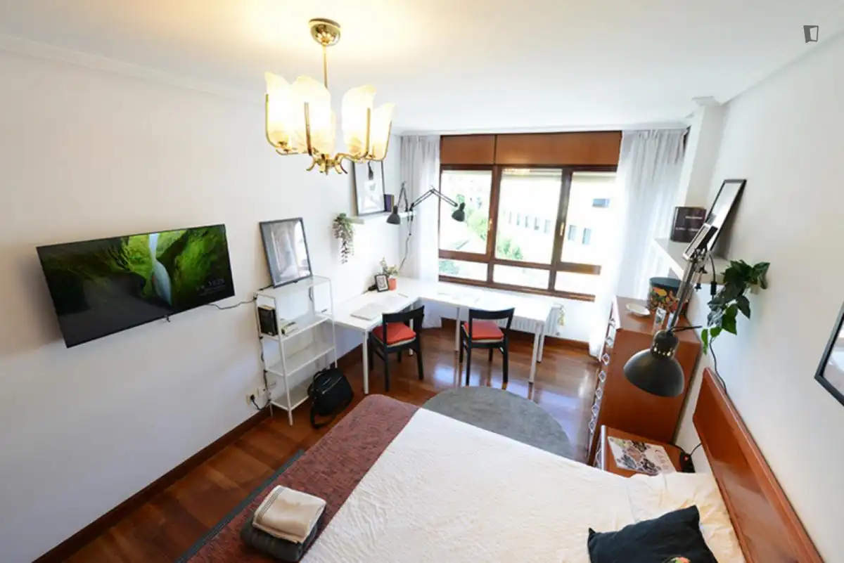 Room in Bolueta