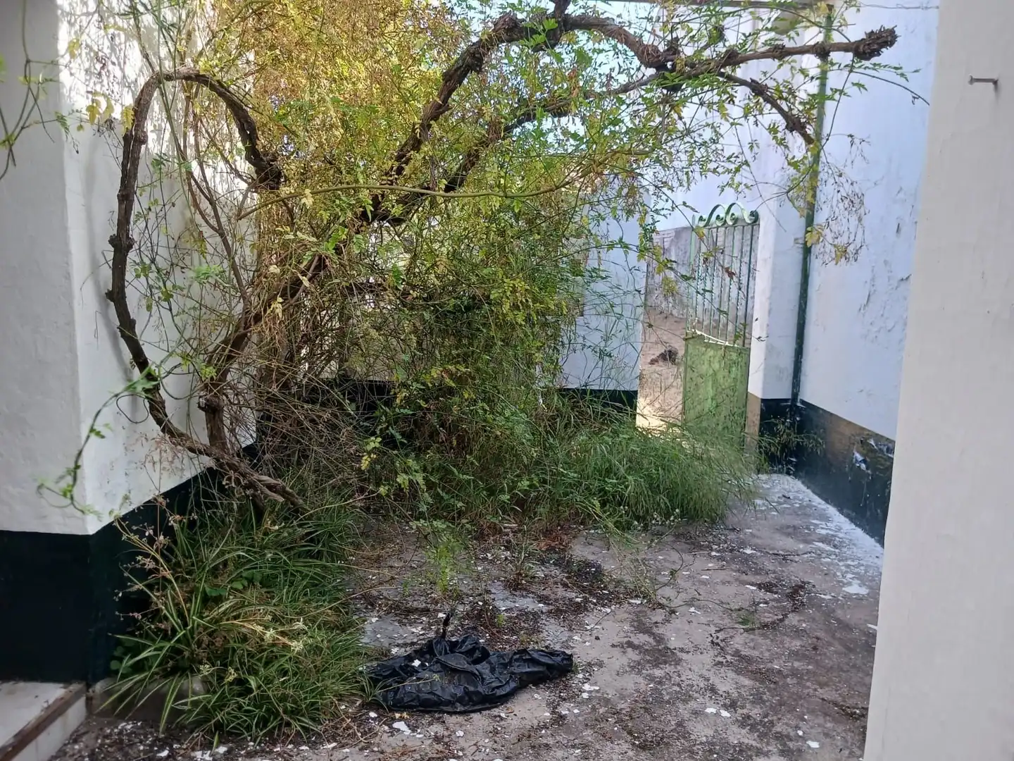 Casa rústica en venda a Almadén de la Plata, imagen 41