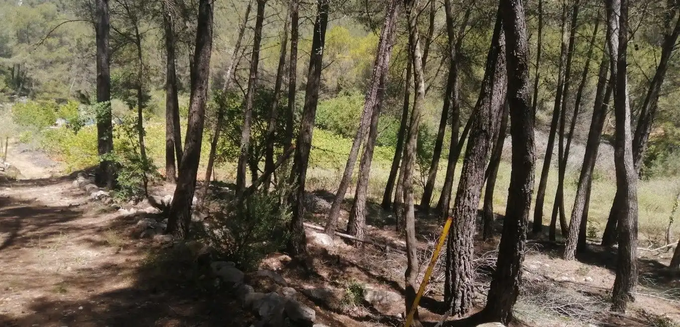 Terreny rústic en venda a Olesa de Bonesvalls, imagen 9