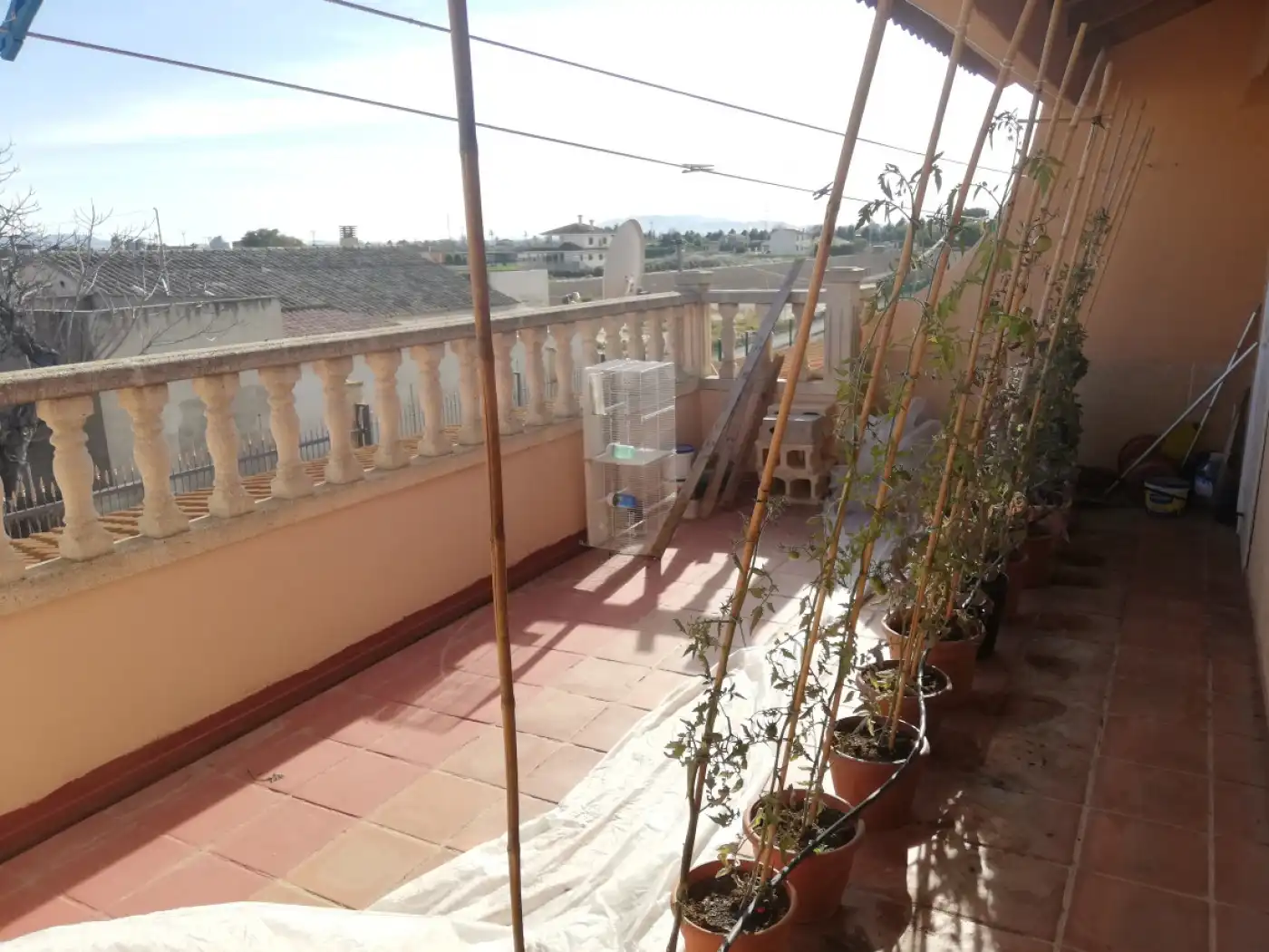 Xalet amb jardí en venda a Pedanías Centro, imagen 11