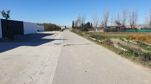 EXTENSA FINCA RUSTICA DE VENTA EN ROMILLA, immagine 3