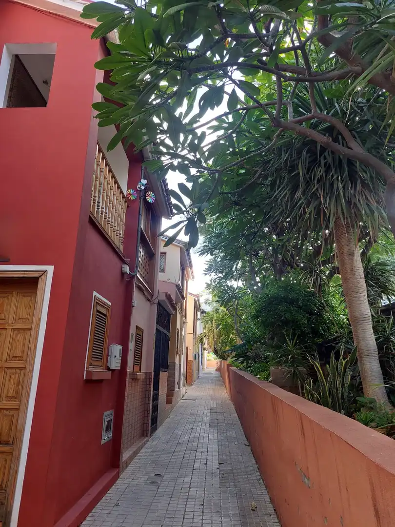 Casa o chalet en venta en La Salud