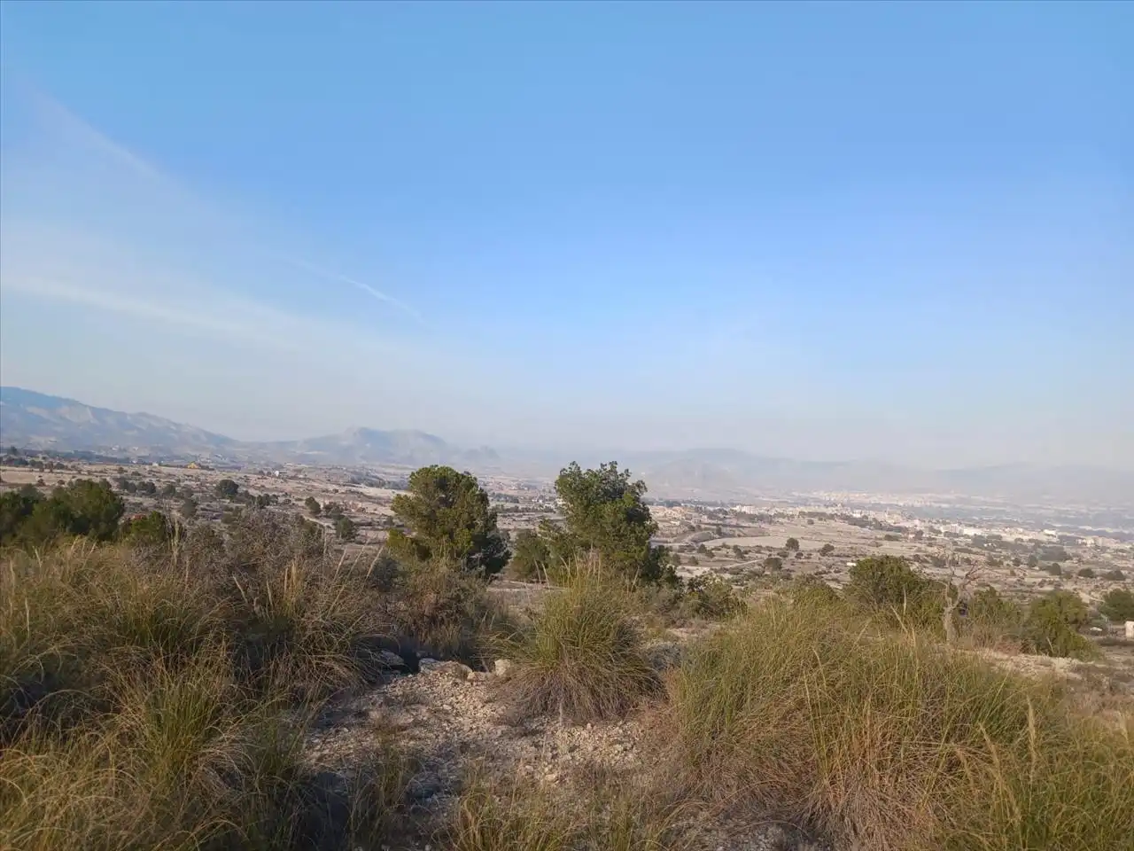 Residential land for sale in Proc. Simplificado, imagen 5