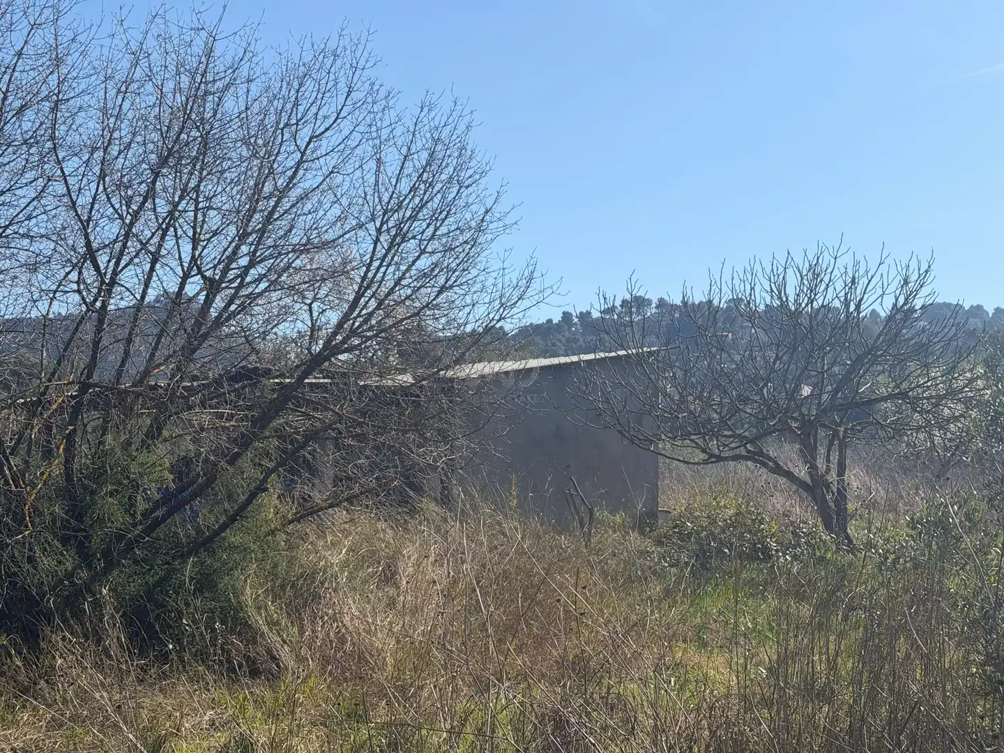 Rustikales Grundstück zum Verkauf in Castellví de Rosanes, imagen 11