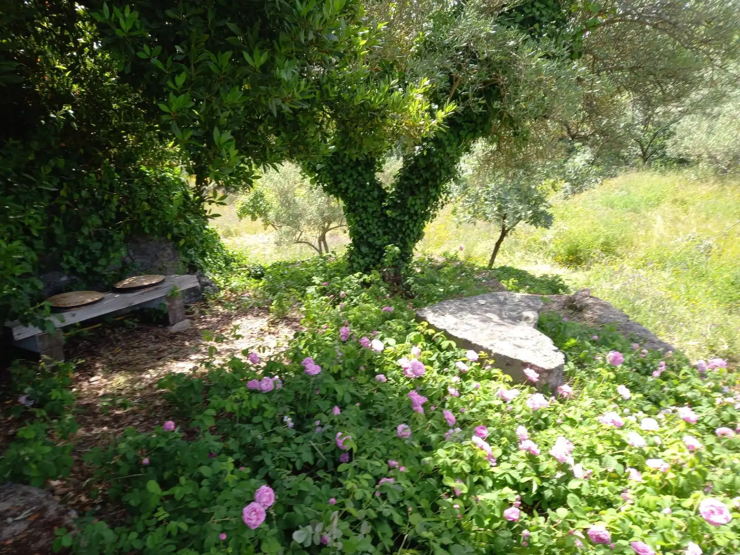 Terreni e lotti in vendita a Villanueva de la Vera, imagen 55