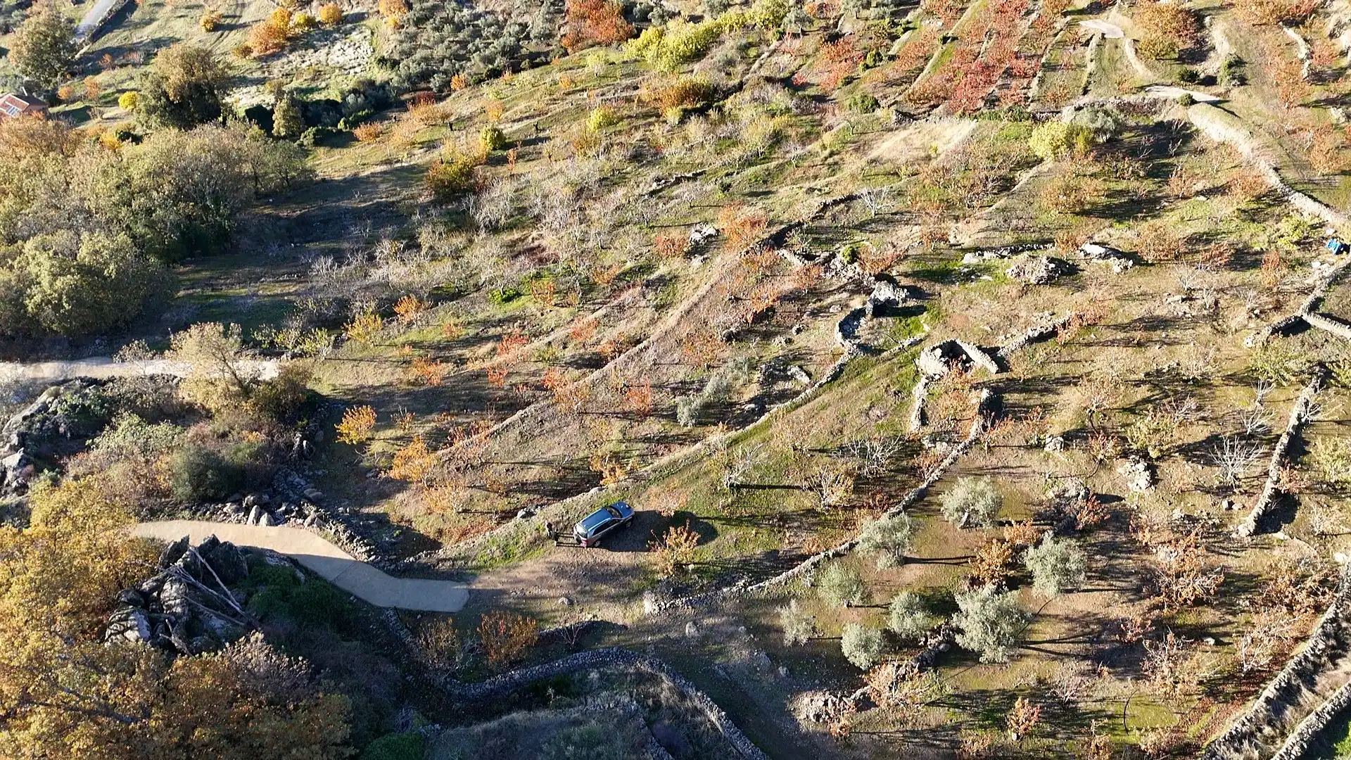 Land for sale in Arroyomolinos de la Vera